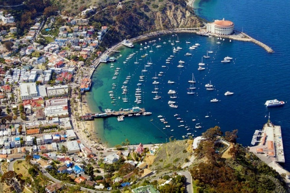 Catalina Island: Day Trip + Scenic Driving Tour - Photo 1 of 10